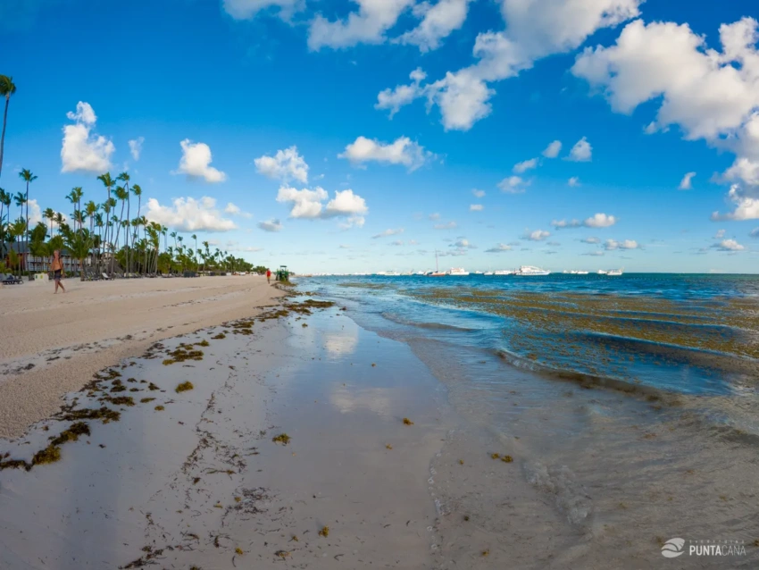 Clean beach, but dirty water