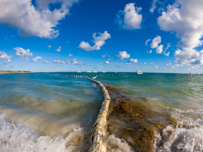 Seaweed Barrier System
