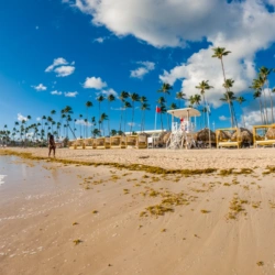 Punta Cana Seaweed Guide 2025: Best Time to Visit and How to Find Clean Beaches