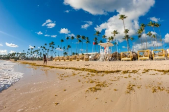 Punta Cana Seaweed Guide 2025: Best Time to Visit and How to Find Clean Beaches