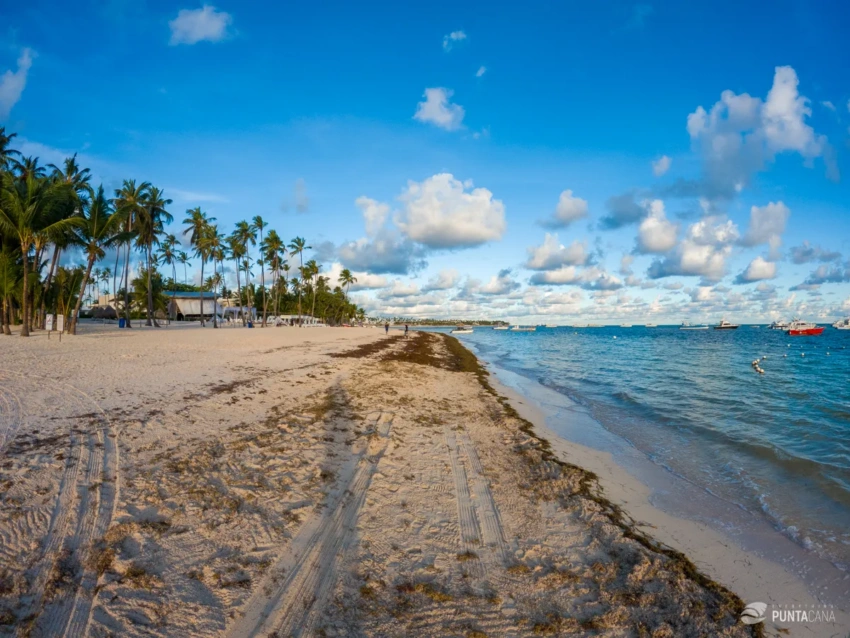 Not All Beaches Are Equal