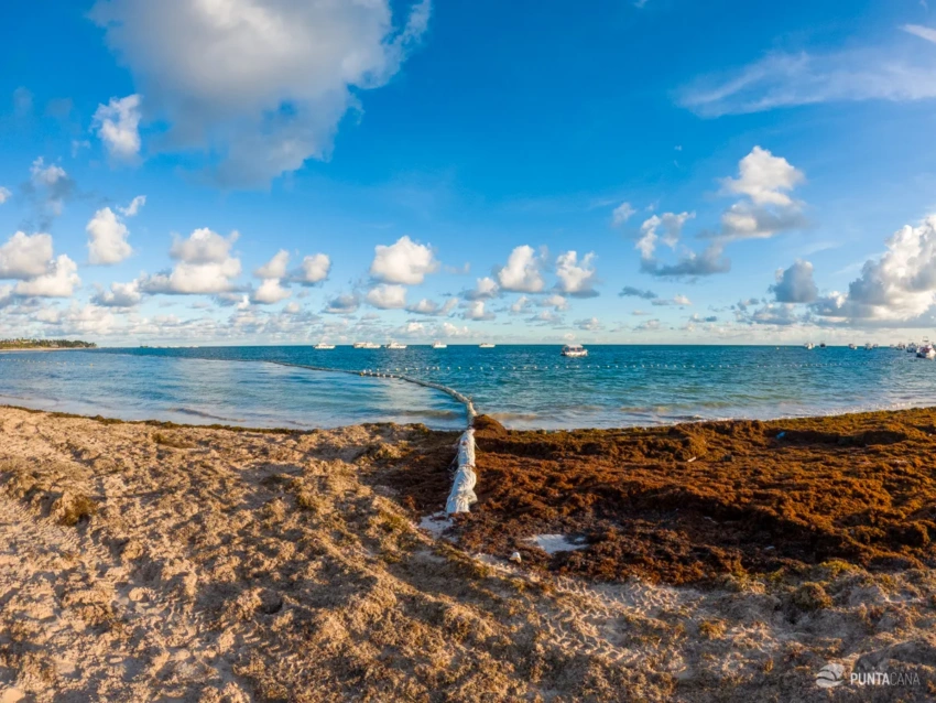 Same Coast, Different Reality