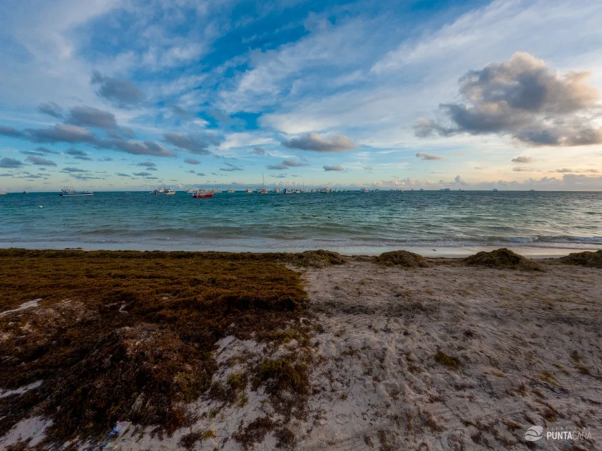 A hotel's cleaning policy