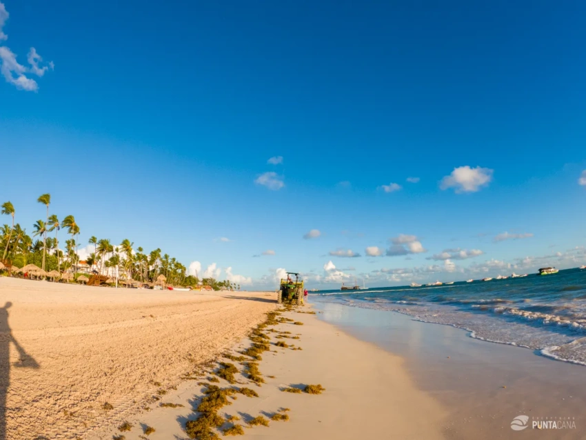 Bavaro Beach, Punta Cana