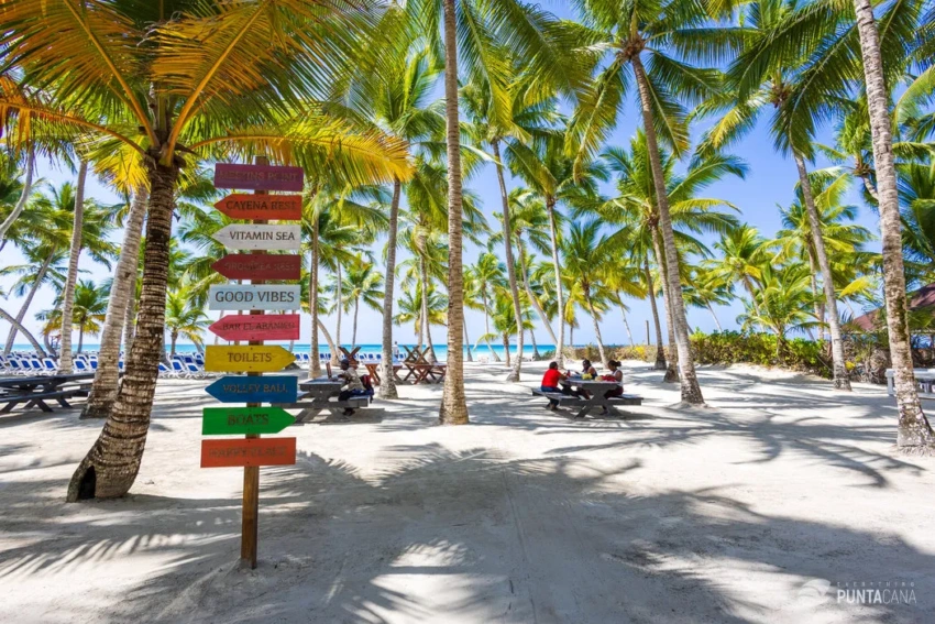 Saona tour from Punta Cana Saona tour from Punta Cana